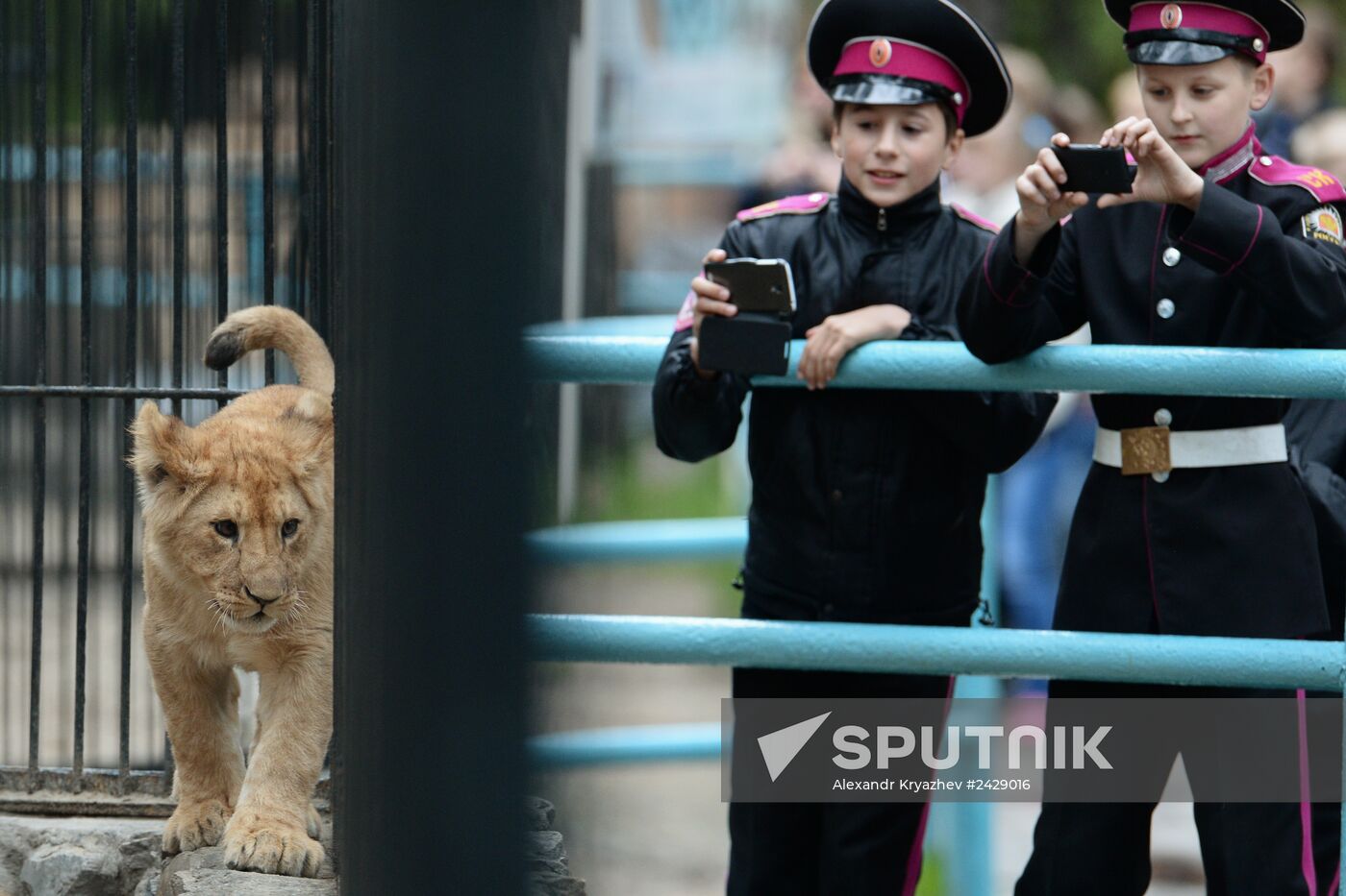 The Novosibirsk Zoo