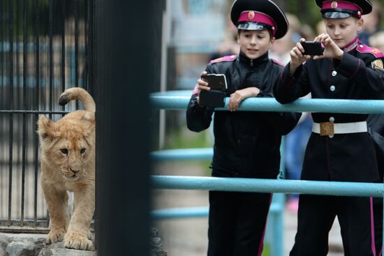 The Novosibirsk Zoo