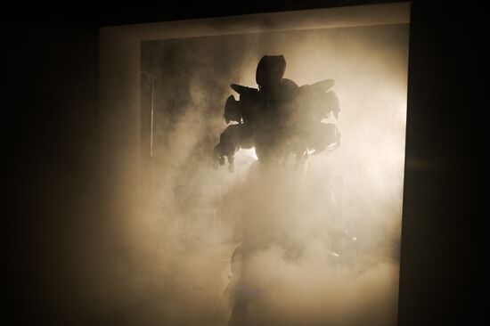 Robot Ball exhibition