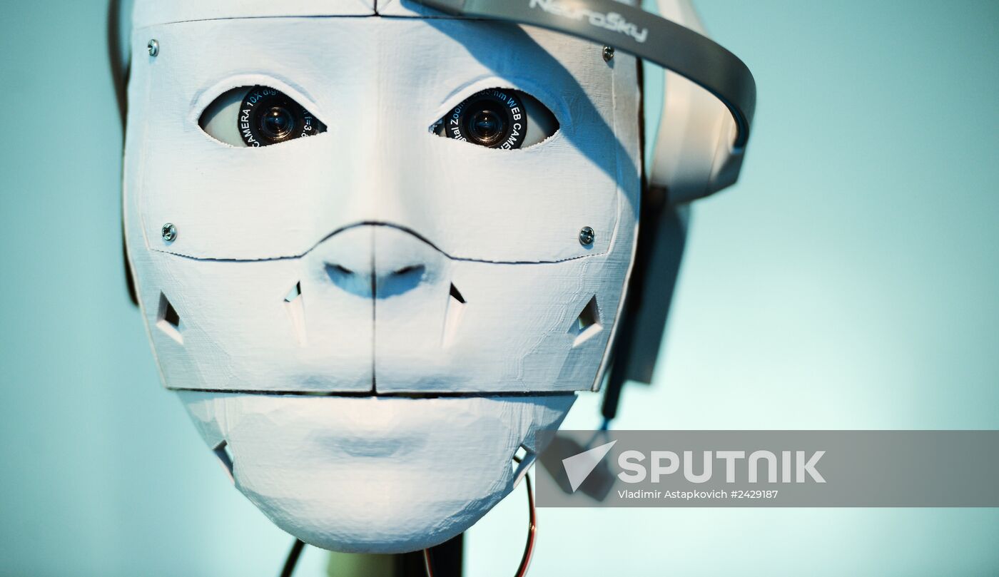 The Robot Ball exhibition