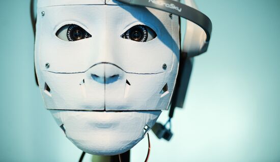 The Robot Ball exhibition