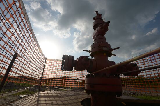 Shale gas well in Zhelannoye village, Donetsk Region