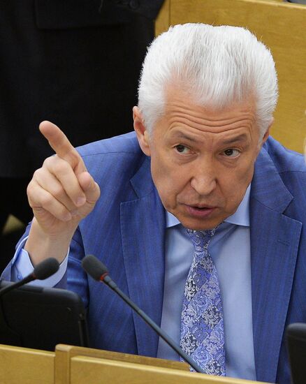 State Duma plenary meeting
