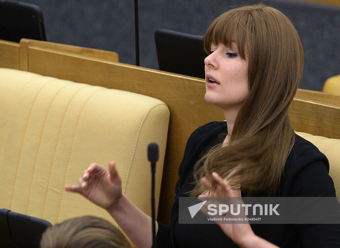 State Duma plenary meeting