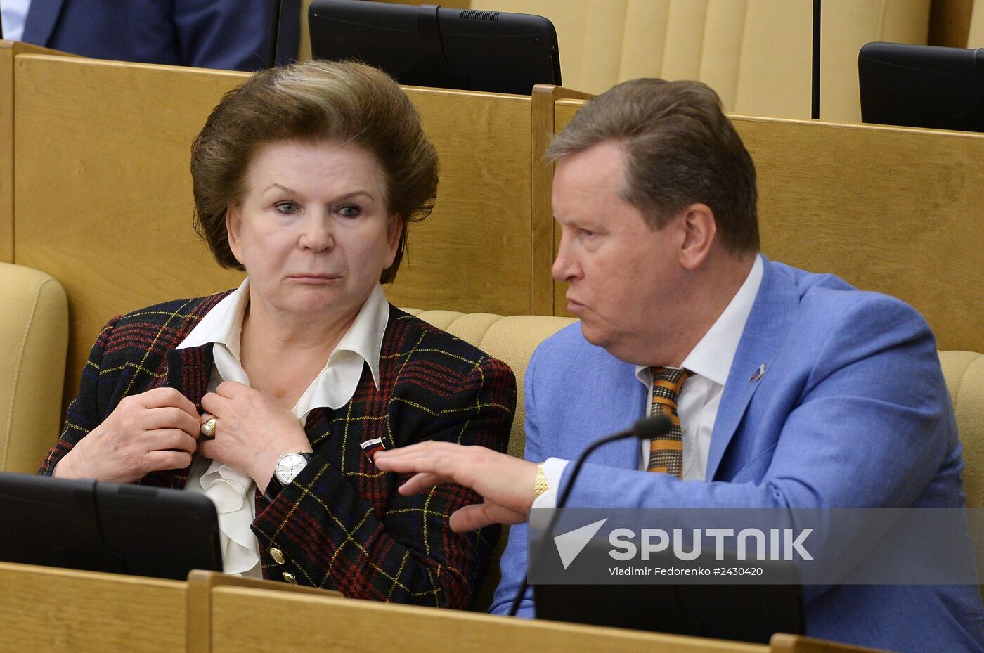 State Duma plenary meeting