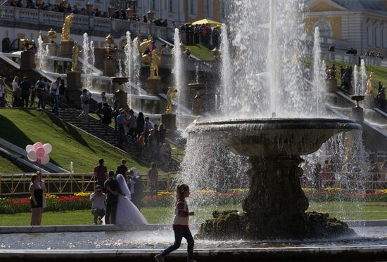 Fountain festival in Peterhov