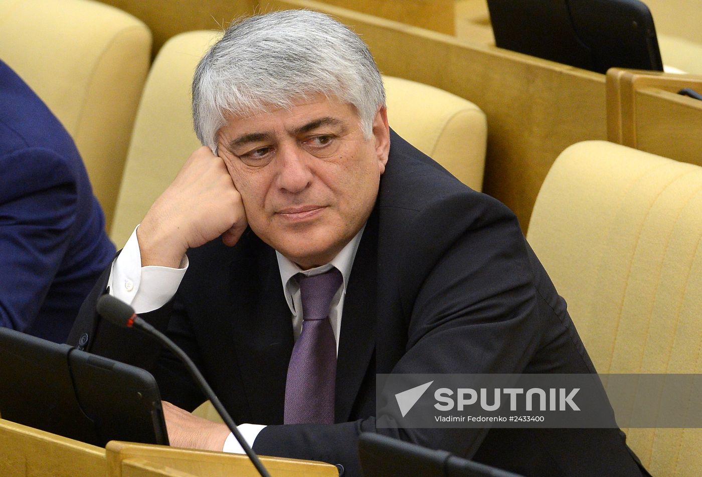 Plenary meeting of the State Duma of the Russian Federation