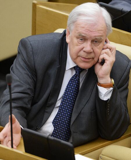 Plenary meeting of the State Duma of the Russian Federation