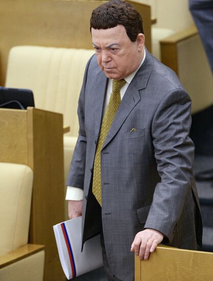 Plenary meeting of the State Duma of the Russian Federation