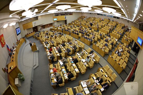 Plenary meeting of the State Duma of the Russian Federation