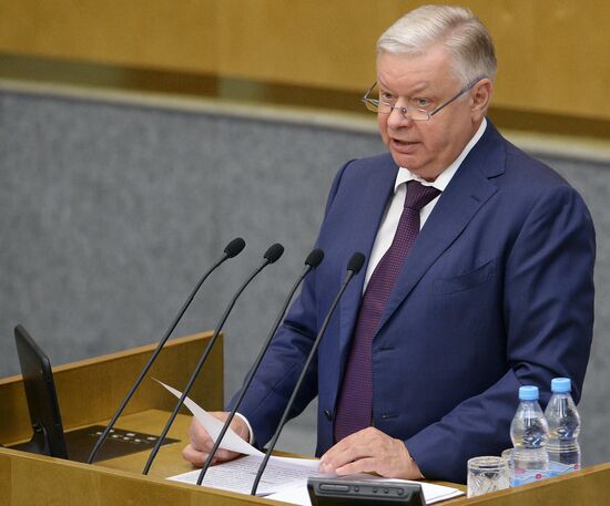 Plenary meeting of the State Duma of the Russian Federation