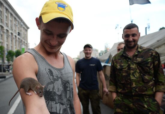 Kiev on the eve of elections