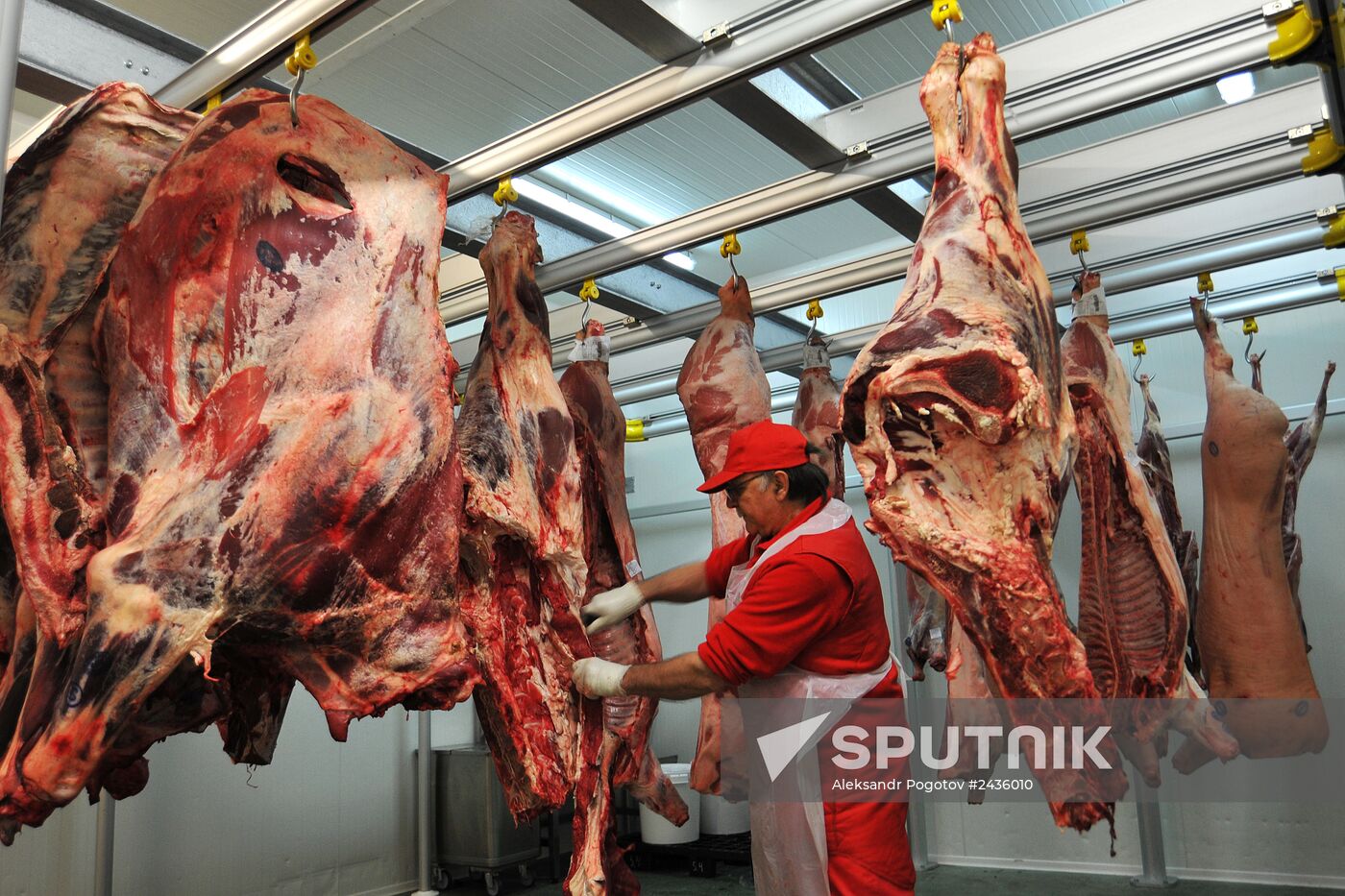 Work in Ashan hypermarket in Rostov-on-Don
