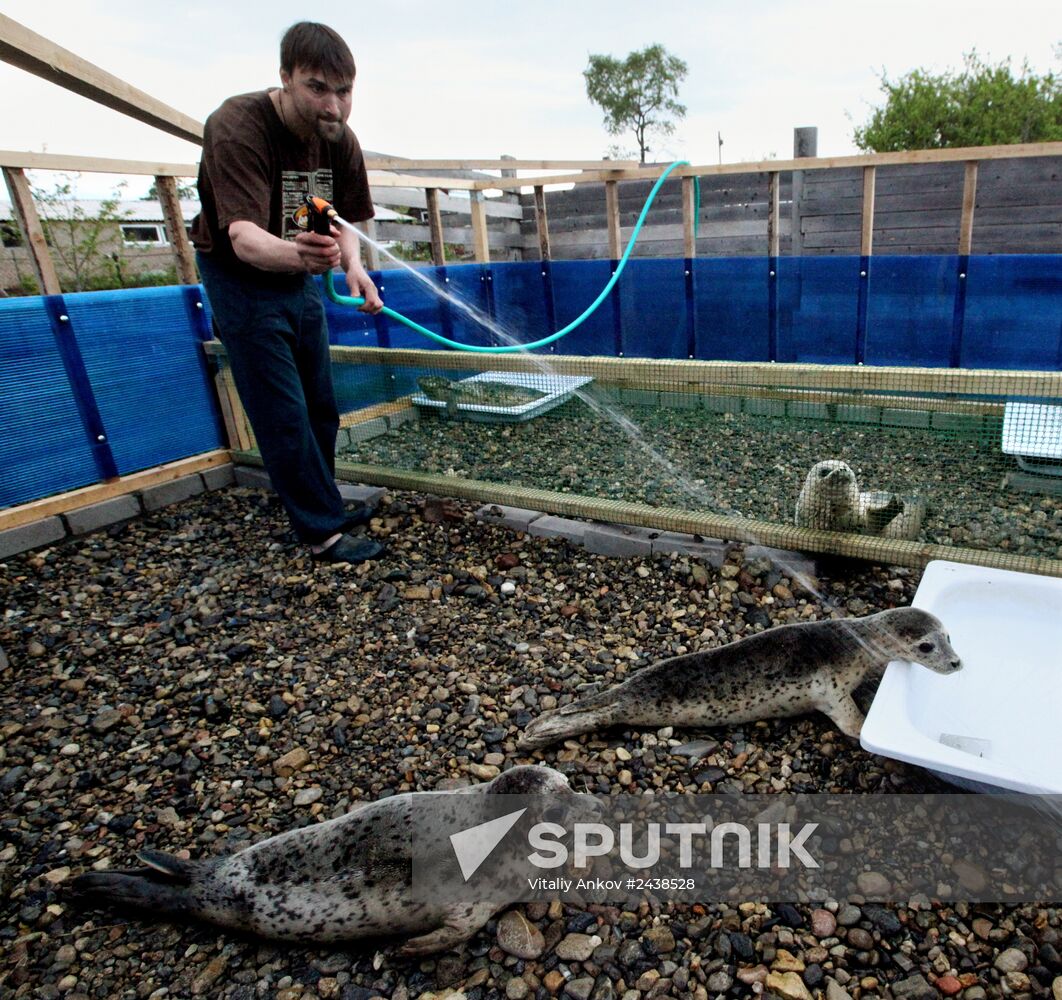 The Tyulen (Seal) marine mammal rehabilitation center in the Primorye Territory