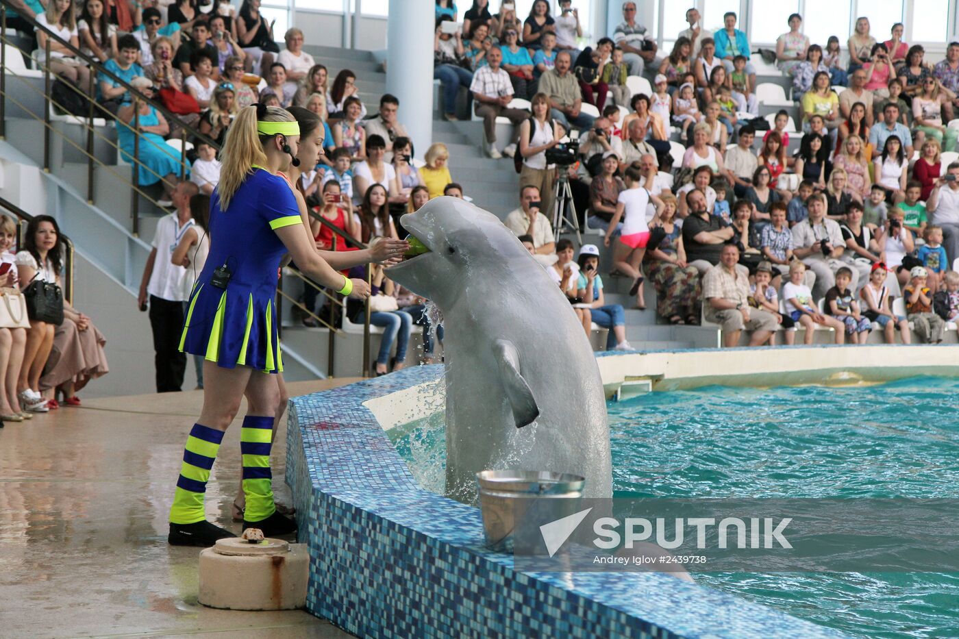 Dolphinarium in Yevpatoria