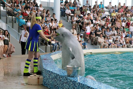 Dolphinarium in Yevpatoria
