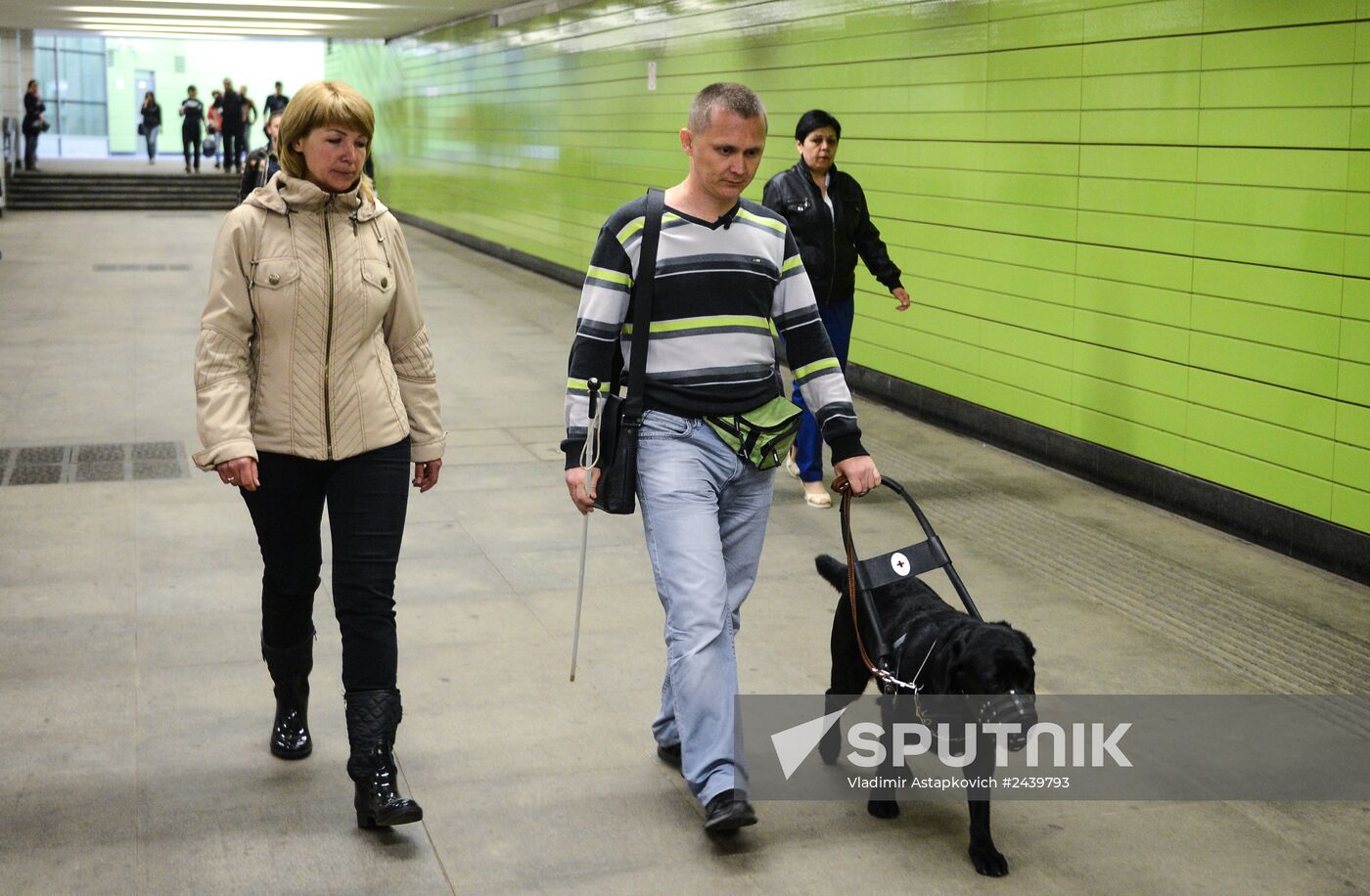 training of guide dogs for people with disabilities