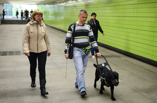 training of guide dogs for people with disabilities