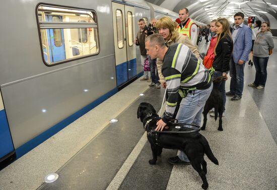 training of guide dogs for people with disabilities