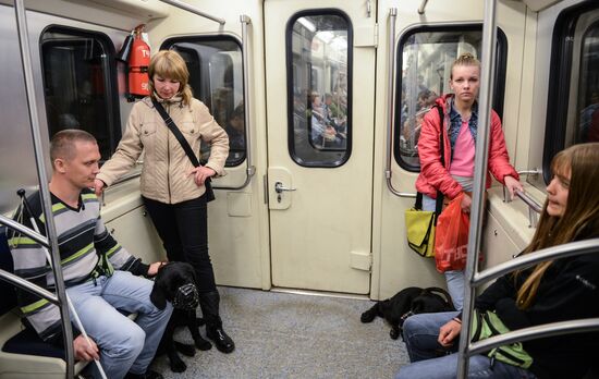 training of guide dogs for people with disabilities