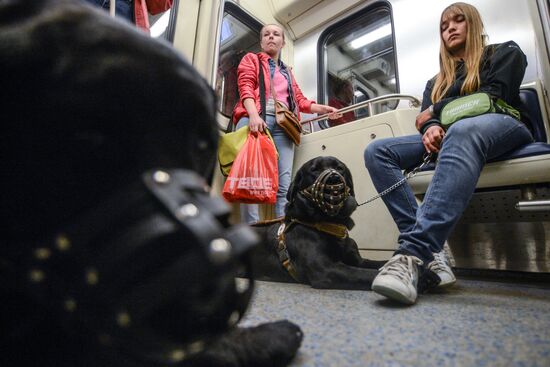 training of guide dogs for people with disabilities