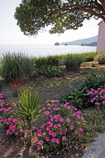 First summer shift starts in Artek camp