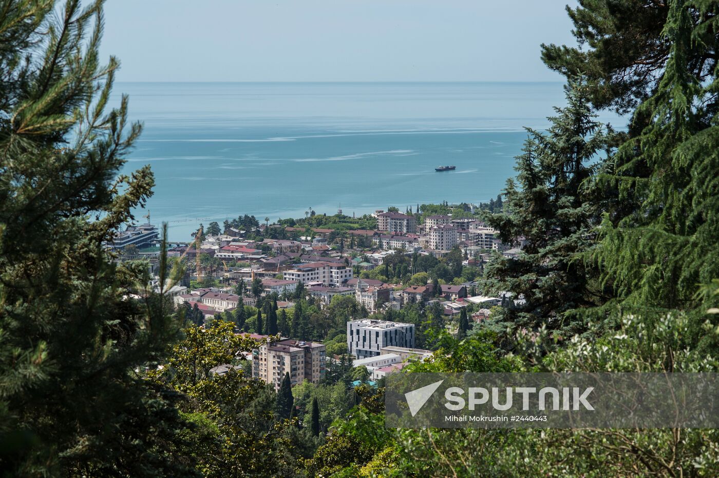 Cities of the world. Sukhumi