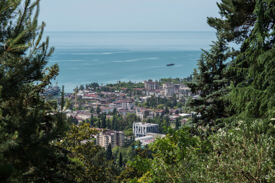 Cities of the world. Sukhumi
