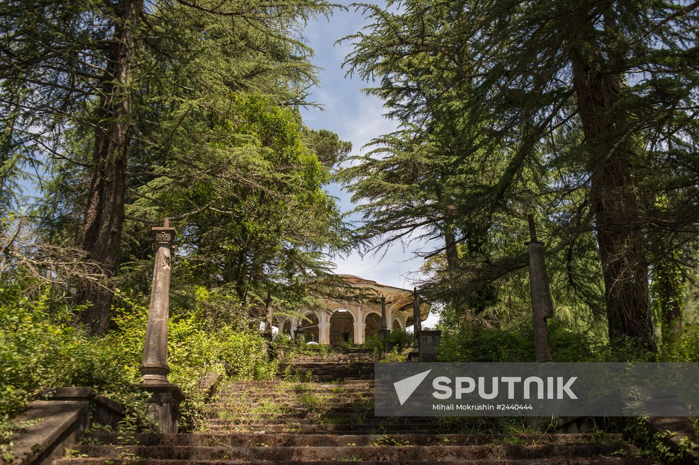 Cities of the world. Sukhumi
