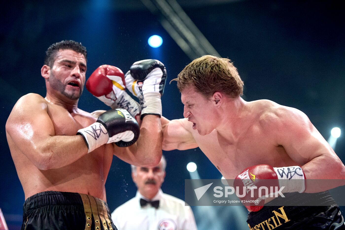 Boxing. Alexander Povetkin faces off Mauel Charr