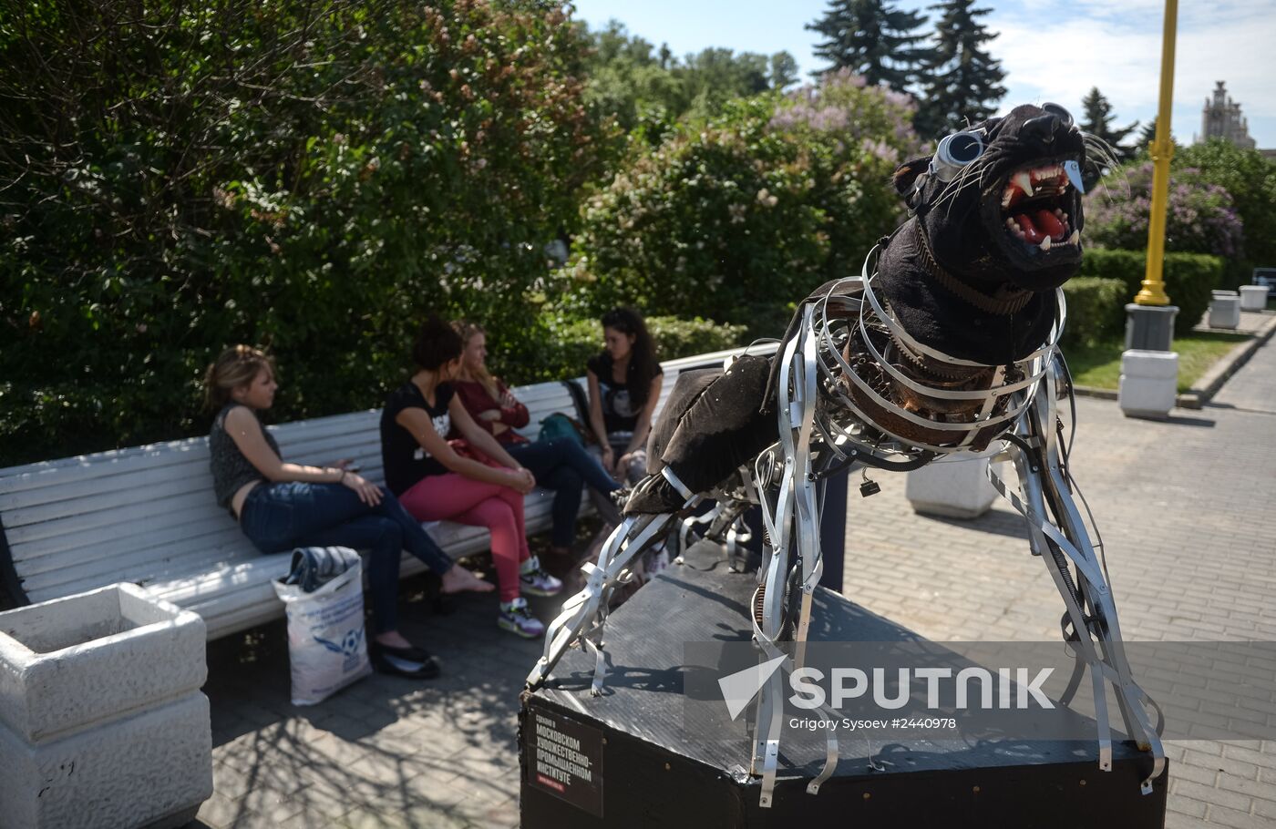 Don't Sleep Away youth festival