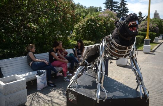 Don't Sleep Away youth festival