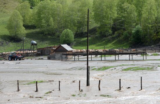 Flooding in Republic of Altai