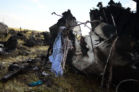 Impact point of Ukrainian Air Force Il-76 downed by Lugansk self-defense