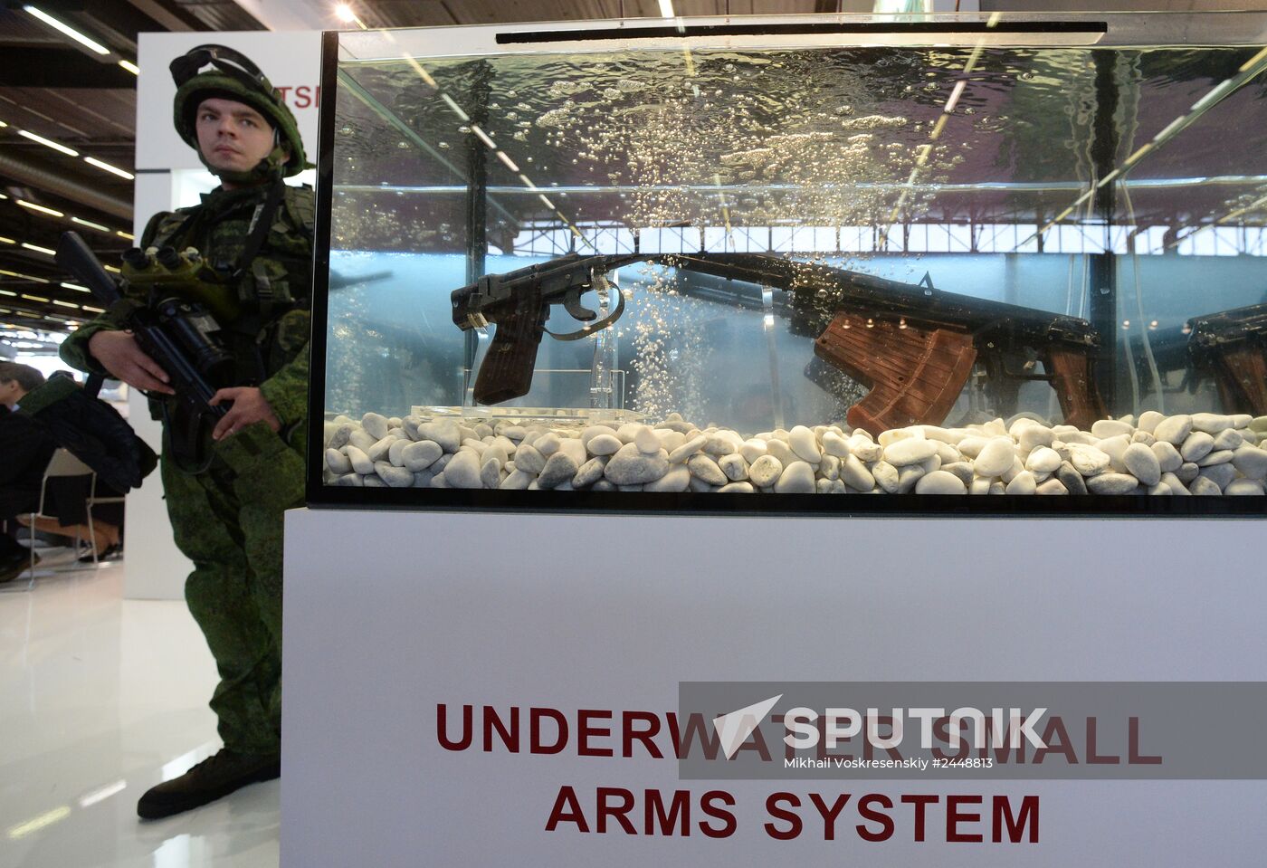 International Exhibition of Arms and Military Equipment Eurosatory 2014