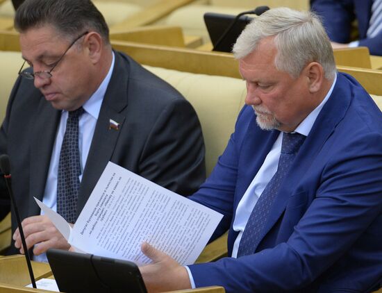 Plenary meeting of the State Duma of the Russian Federation