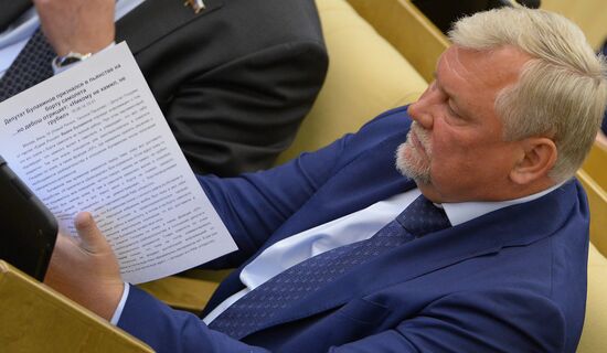 Plenary meeting of the State Duma of the Russian Federation