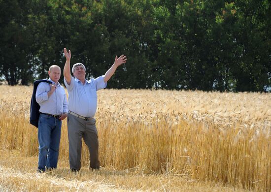 Vladimir Putin's working visit to Stavropol Territory