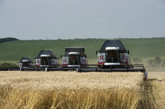 Vladimir Putin's working visit to Stavropol Territory