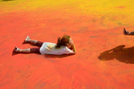2014 Color Run