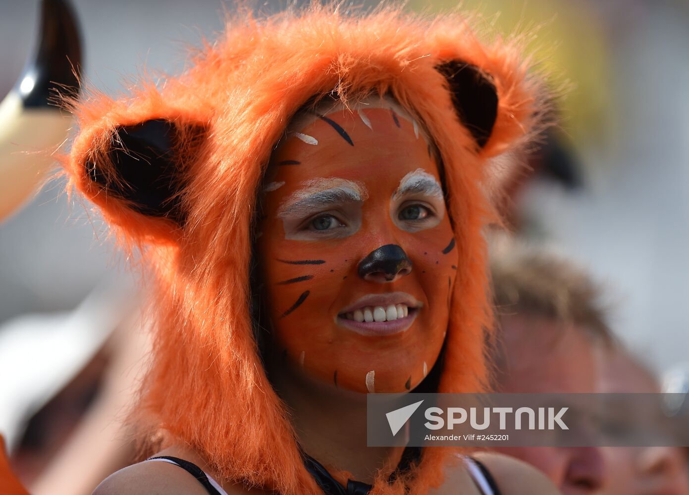 2014 FIFA World Cup. Netherlands vs. Chile