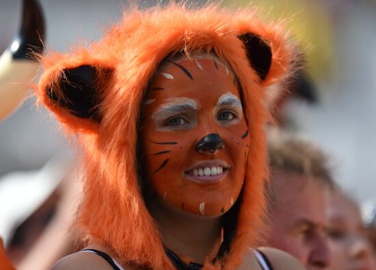 2014 FIFA World Cup. Netherlands vs. Chile
