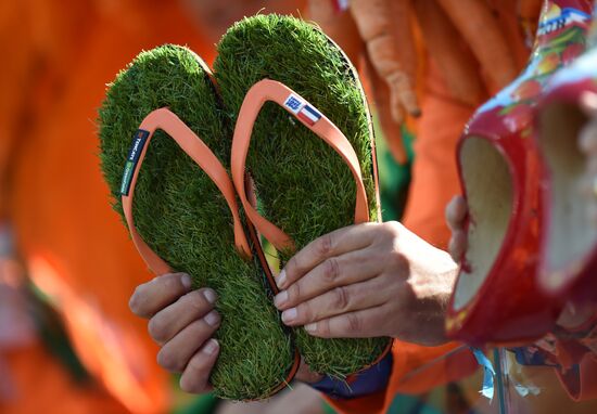 2014 FIFA World Cup. Netherlands vs. Chile