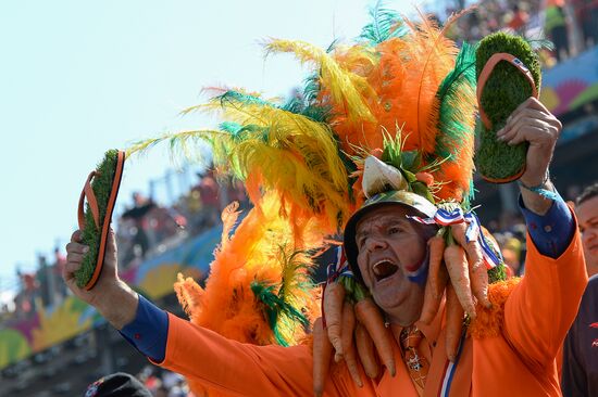 FIFA World Cup 2014. Netherlands vs. Chile