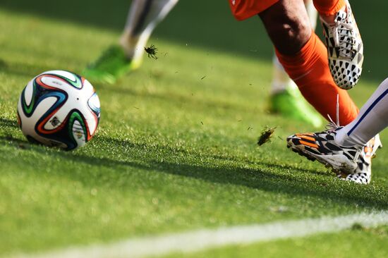 Football. 2014 FIFA World Cup. Netherlands vs. Chile