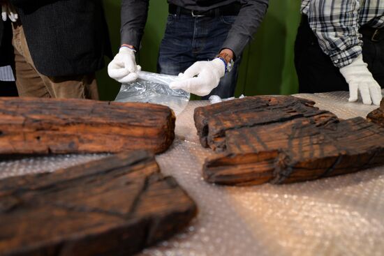 Shigir idol under expert evaluation