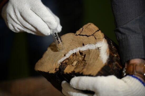 Shigir idol under expert evaluation