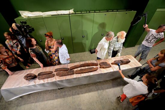 Shigir idol under expert evaluation