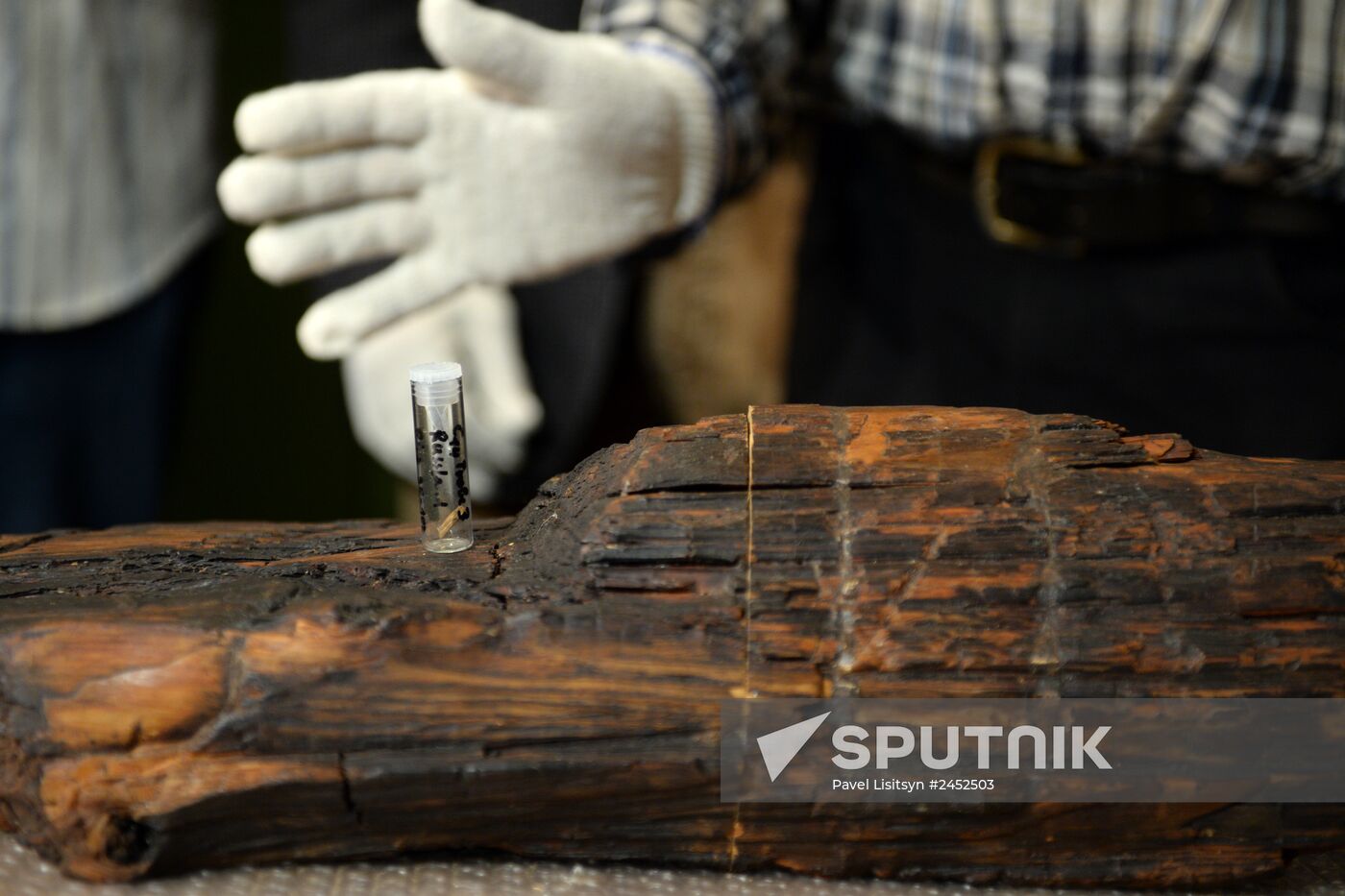 Shigir idol under expert evaluation