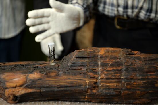 Shigir idol under expert evaluation